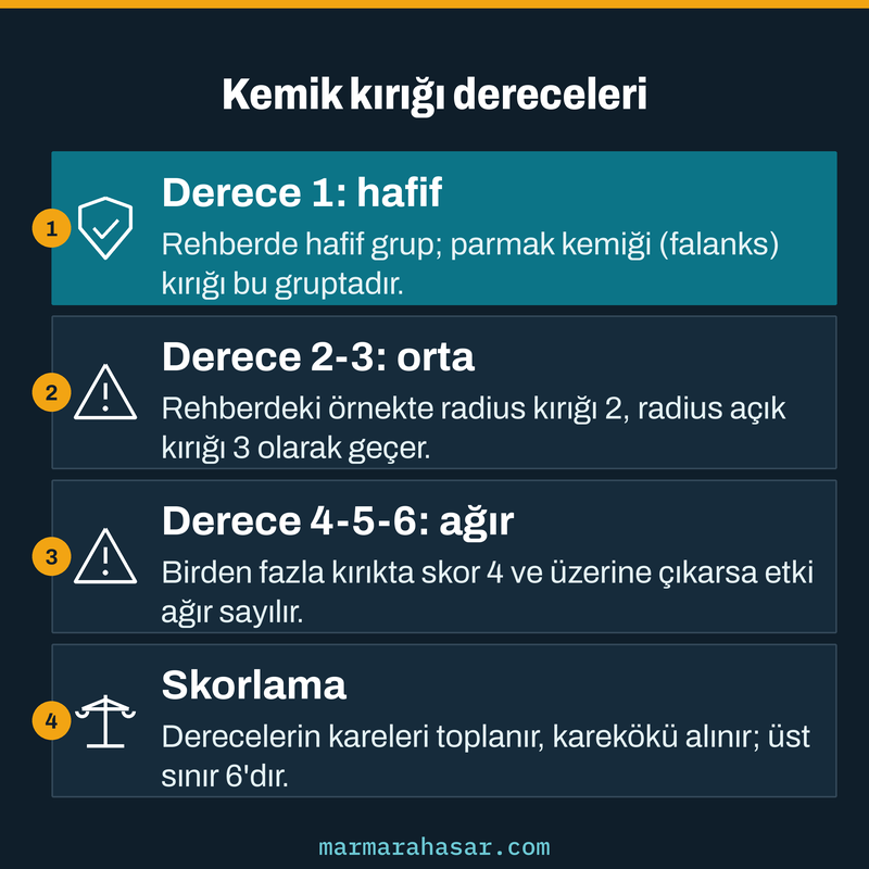 Kati rapor derecelerinde kemik kırığının hayat fonksiyonlarına etkisini hafif, orta ve ağır gruplarla gösteren kart